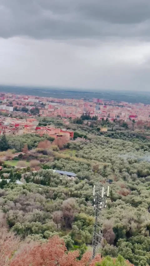 Panoramic City View Surrounded by Green Forest Video stock 328595866