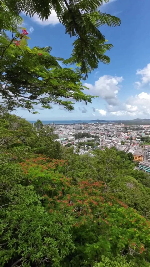 Panoramic Cityscape View from Hill Viewpoint Balcony Stock Footage 341008749