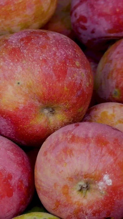 Panoramic Close-Up of Ripe Red Apples Harvested in a Crate Stock Footage 347770853
