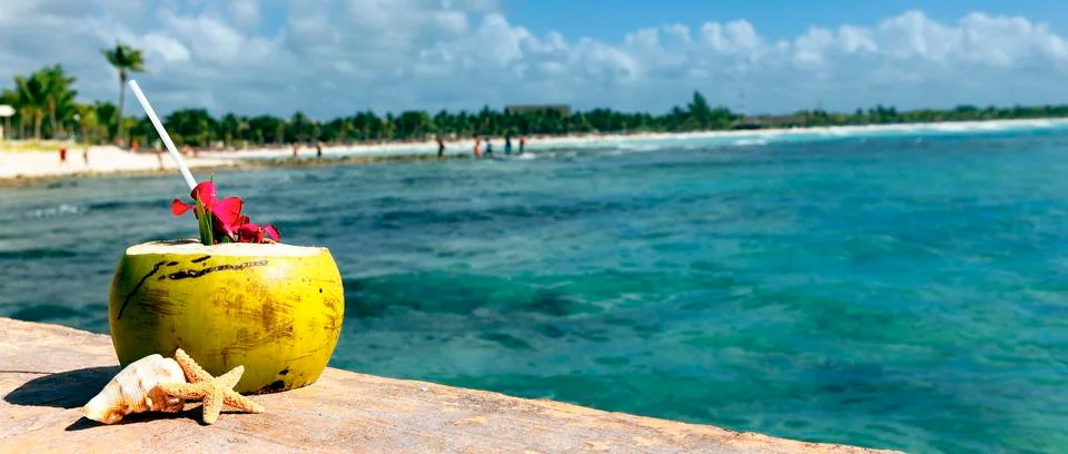 Panoramic coconut Foto stock