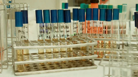 Panoramic colbs tubes in the lab Vidéo 37344737