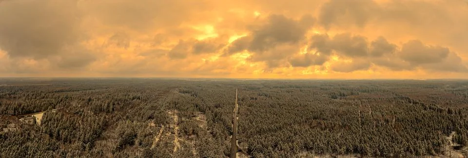 Panoramic coniferous forest in Germany while the sunset is ongoing with Stock Photos