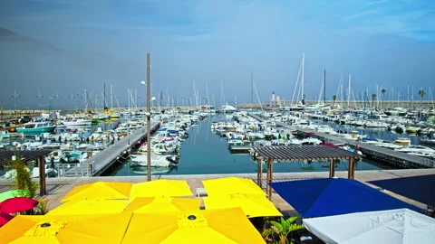 Panoramic detailed view of Old Port Of Menton. Stock Footage 247222305