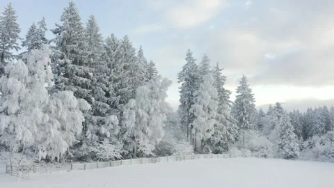 Panoramic drone flight along frost-covered winter trees and snowy forest edge Stock Footage 321947553