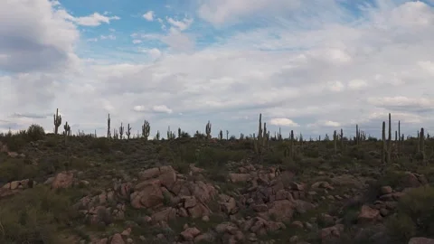 Panoramic Drone Fly-Over Of Sonoran Desert Landscape In Arizona Stock Footage 343878646