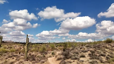 Panoramic Drone Footage Of Fly Over Of Arizona Sonoran Desert Stock Footage 310794753
