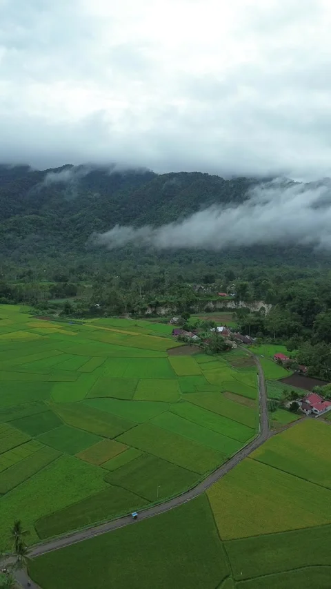 Panoramic Drone Footage Showcasing Pristine Green Farmlands and a Quiet Vil.. Stock-Footage 337279782