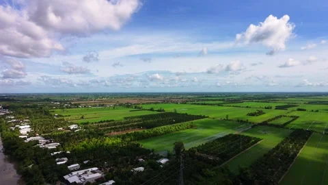 Panoramic drone pan from canal with cargo boat to vast rice fields Stock Footage 342390551