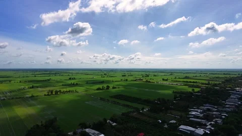 Panoramic drone pan from vast green paddy fields to rural canal Stock Footage 342390556