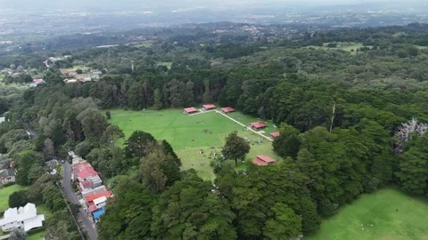Panoramic Drone Shot of Bosque de la Hoja Surrounded by Trees, Costa Rica Stock Footage 317847944