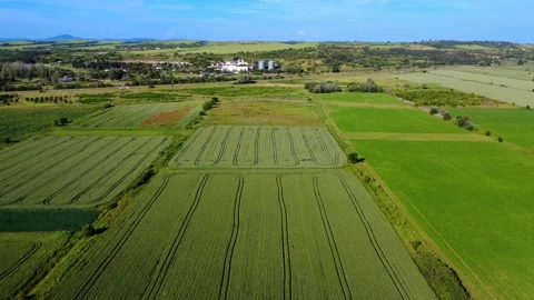 Panoramic drone shot of cultivated agricultural, Bulgaria, Stock Footage 311010953