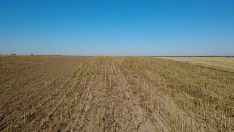 Panoramic Drone Shot Over Summer Farmland. Stunning Drone Aerial of Cultivated Stock Footage 340033937