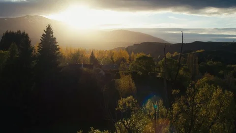 Panoramic drone shot of the sun rising over golden trees with autumn leaves Stock Footage 90266017