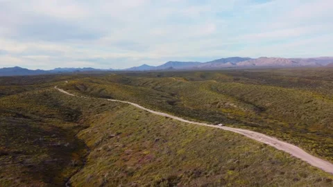 Panoramic Drone View Of Dirt Road In The Sonoran Desert During Spring Time Stock Footage 344278679