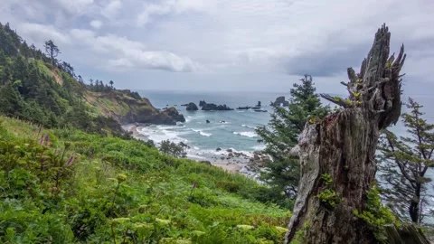Panoramic drone view of Ecola State Park in Oregon, highlighting rugged coastlin Stock Footage 309323481