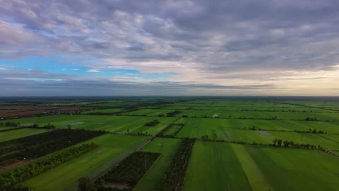 Panoramic drone view of green paddy fields stretching along one side of river Stock-Footage 342390962