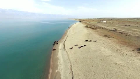 Panoramic drone view of nature landscape , panoramic landscape aerial view Stock Footage 339038172