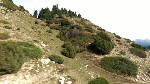 Panoramic drone view of nature landscape with mountains and forest Фото