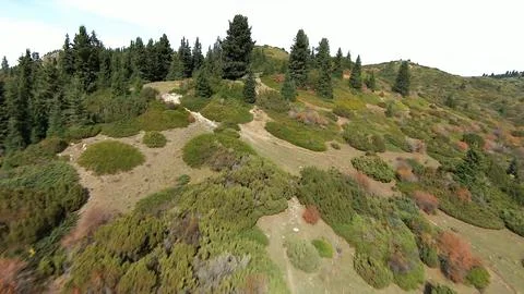 Panoramic drone view of nature landscape with mountains and forest Fotos Stock