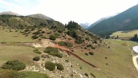 Panoramic drone view of nature landscape with mountains and forest Fotos de archivo