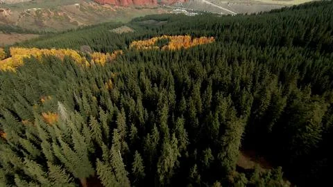 Panoramic drone view of nature landscape with mountains and forest Stockfoto's