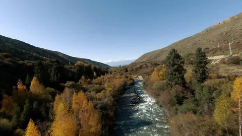 Panoramic drone view of nature landscape with mountains and forest Stock Photos