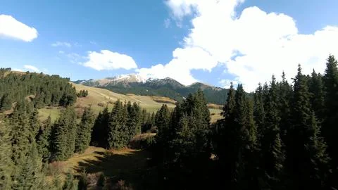 Panoramic drone view of nature landscape with mountains and forest Stock Photos