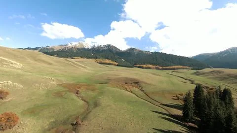 Panoramic drone view of nature landscape with mountains and forest Fotos de archivo