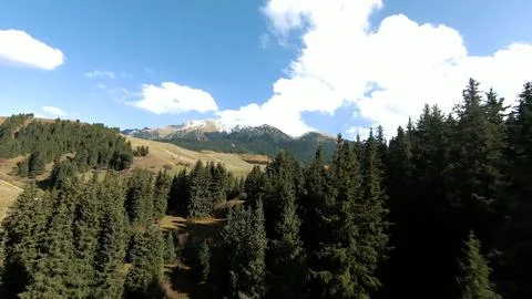 Panoramic drone view of nature landscape with mountains and forest 스톡 사진