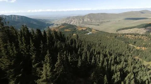 Panoramic drone view of nature landscape with mountains and forest 스톡 사진