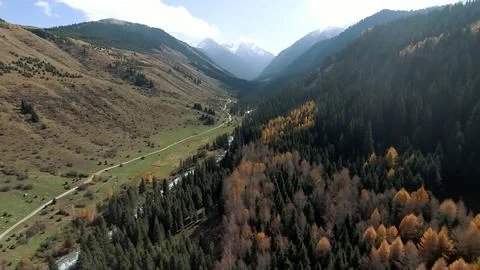 Panoramic drone view of nature landscape with mountains and forest Foto stock