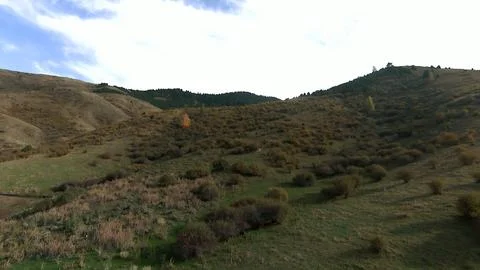 Panoramic drone view of nature landscape with mountains and forest 写真素材