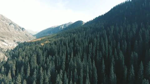 Panoramic drone view of nature landscape with mountains and forest Stockfoto's