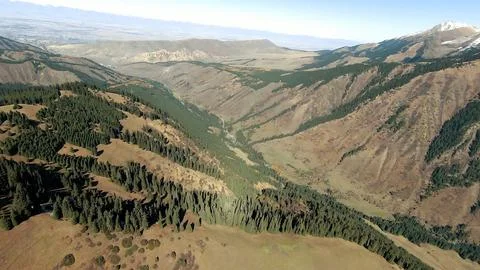 Panoramic drone view of nature landscape with mountains and forest Fotos de archivo