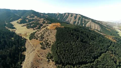 Panoramic drone view of nature landscape with mountains and forest 스톡 사진