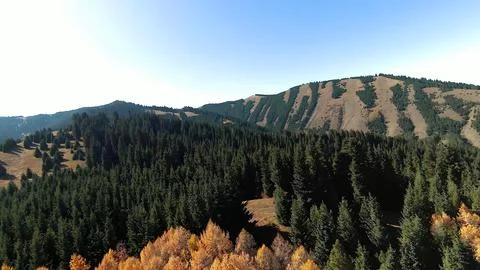 Panoramic drone view of nature landscape with mountains and forest Фото