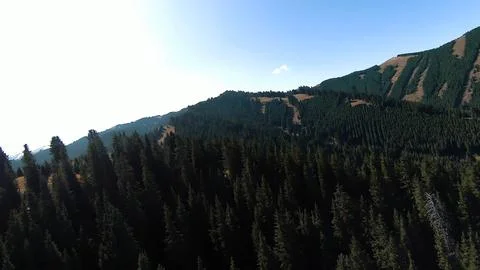 Panoramic drone view of nature landscape with mountains and forest Фото