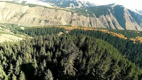 Panoramic drone view of nature landscape with mountains and forest 写真素材