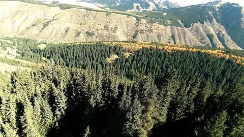 Panoramic drone view of nature landscape with mountains and forest Photos