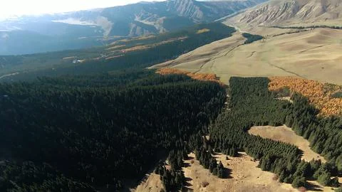Panoramic drone view of nature landscape with mountains and forest 스톡 사진