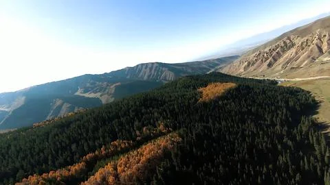 Panoramic drone view of nature landscape with mountains and forest Stockfoto's