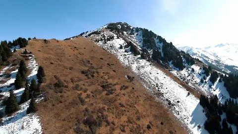 Panoramic drone view of nature landscape with mountains and forest Stockfoto's
