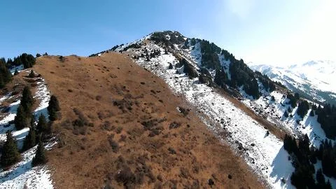 Panoramic drone view of nature landscape with mountains and forest Stock Photos