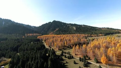 Panoramic drone view of nature landscape with mountains and forest Stock Photos