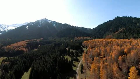 Panoramic drone view of nature landscape with mountains and forest Fotos de archivo