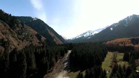 Panoramic drone view of nature landscape with mountains and forest Stockfoto's