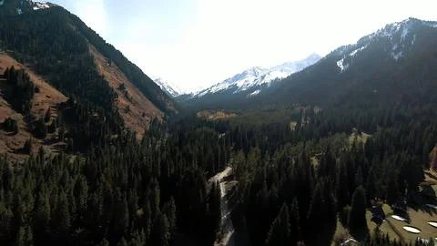 Panoramic drone view of nature landscape with mountains and forest Stock Photos