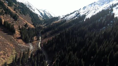 Panoramic drone view of nature landscape with mountains and forest 스톡 사진
