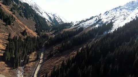Panoramic drone view of nature landscape with mountains and forest Fotos de archivo