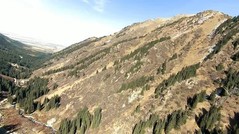 Panoramic drone view of nature landscape with mountains and forest 스톡 사진